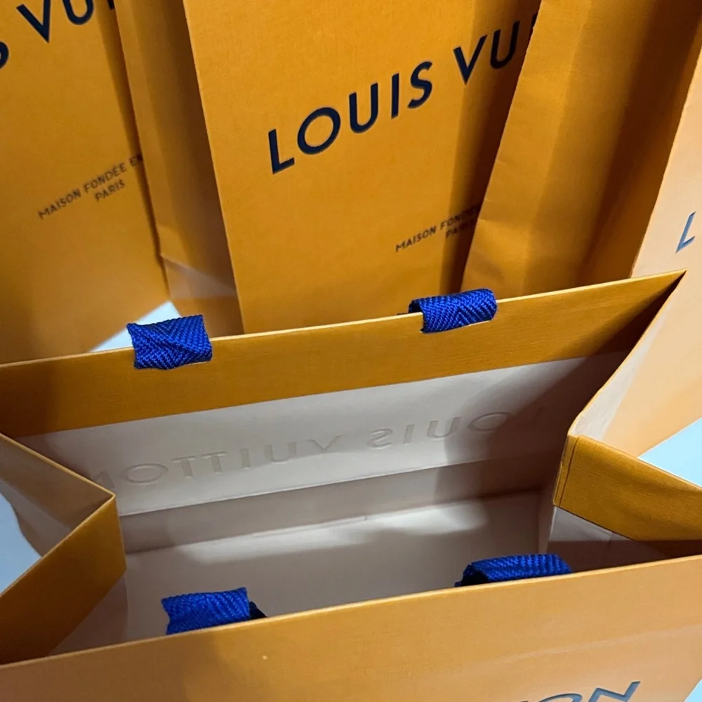 Authentic LV Packaging! Set of 4 Louis Vuitton EMPTY shopping Bags - Picture 2 of 4